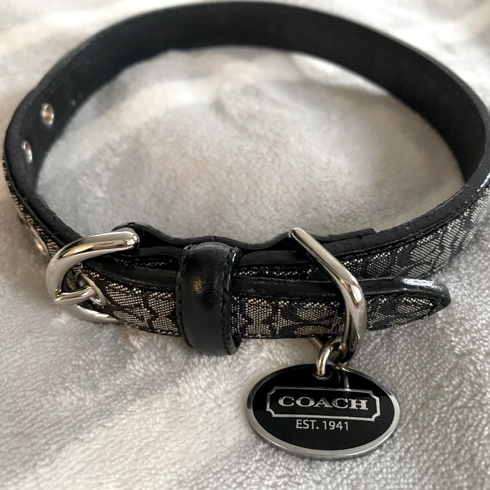 Coach Dog leash and collar